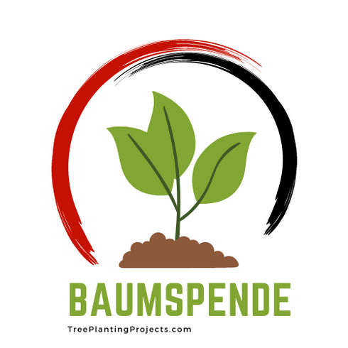 (Zukunfts)Baum spenden