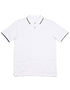 The Tipped Polo